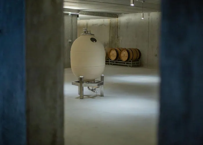 Bodega Díscolo